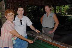 0803 Wildlife Habitat Port Douglas